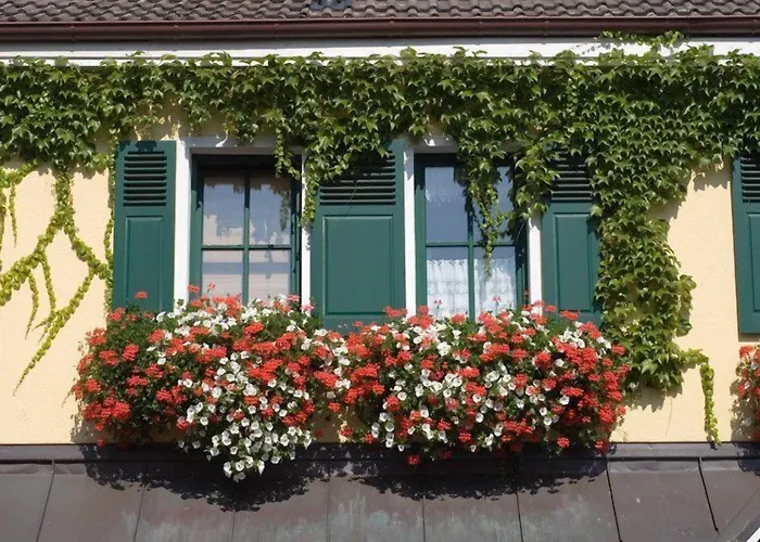 Alte Scheune Frankfurt nad Mohanem