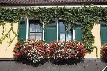 Hotel Alte Scheune 3*