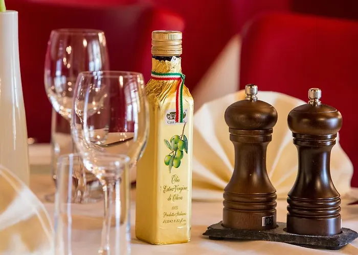 酒店 阿尔特斯科奴恩兰德豪斯酒店 3*