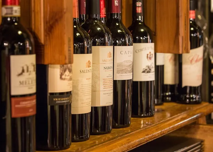 阿尔特斯科奴恩兰德豪斯酒店 酒店