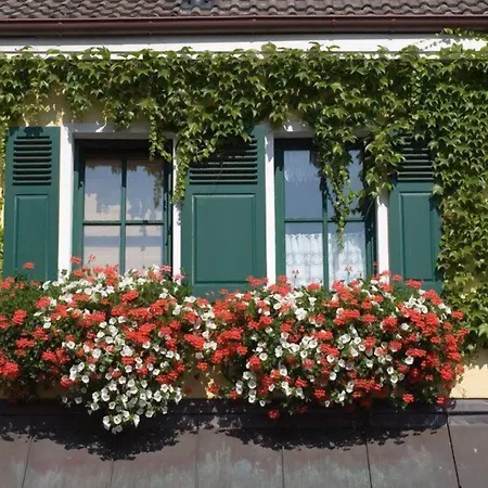 Alte Scheune Frankfurt am Main